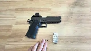 Springfield Armory DOGTAG Optic Plates