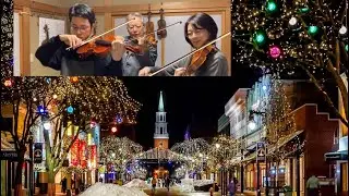 White Christmas🎄バイオリン三重奏