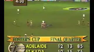 1991 afl fosters cup r2 qu4