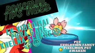 Pet Evolution | Pet Awaken | The Pokemon Tips Video |