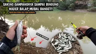 WADER BALAP MUBAL!! KALAU TIDAK BERHENTI WADAH BAKAL PENUH!! Mancing ikan putihan lukas spot sengoro