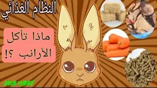 سلسلة محترف الأرانب/ الحلقة 3 : النظام الغذائي المناسب  والكمية للأرانب / التربية المربحة