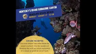 Junior Rangers - Monterey's Grand Submarine Canyon