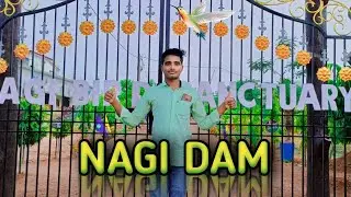 Nagi dam travel || Nagi dam bird sanctuary|| #nagi dam #vlog  #video #funny #vloger boy srikant