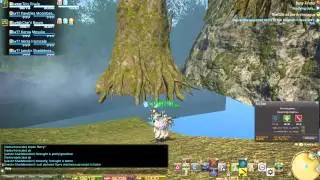 Central Shroud OOB wall cleared! - FINAL FANTASY XIV: A Realm Reborn