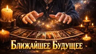 4 Короля. Ближайшие события. Таро для мужчин 