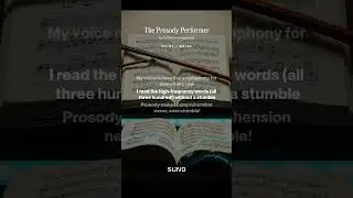 The Prosody Performer | Grade 3 Language Arts Song - Fluency | Northern Learning Lodge
