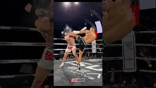 Feint + Round kick 🔥 #kickboxing #muaythai #mma