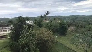 Golden Grove , St.Ann Jamaica