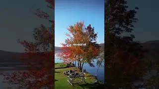 UVM forest ecologist Bill Keaton explains how climate change is affecting fall foliage