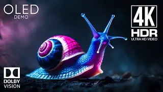 Epic 4K Video | HDR 4K 60fps ULTRA HD - Dolby Vision | OLED DEMO (8K/16K TV)