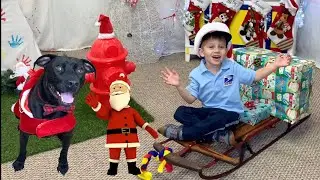 Diggy Dog's Christmas Video for Kids|Christmas songs, Santa, and More!