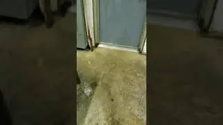 Flooding back door