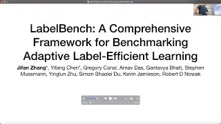 LabelBench: A Comprehensive Framework for Benchmarking Adaptive Label-Efficient Learning