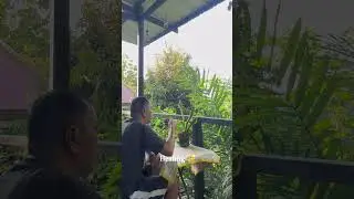 #healingthroughnature