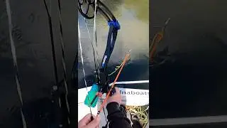Отличная кефаль, пойманная с луком #приключение #лукстрела #рыбалкаслуком #рыбалка #новаязеландия