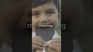 Candy Bar Joke