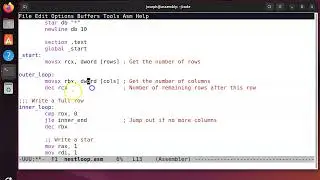 x86-64 Assembly - Nested Loops