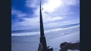 Florida East Coast Surf Fishing 7/27/19