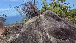 Let's go to *Zimbabwe*. Praslin. Seychelles. 