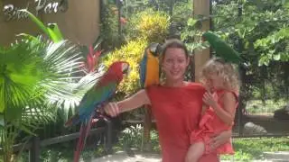 #bali_fo_kids: Bali bird park