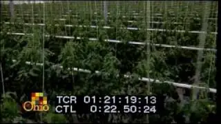 Hydroponics