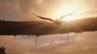 Myth of phoenix bird in Islam   Anqa bird   Fire bird   reality of phoenix|| Aljalil555