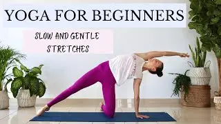 Gentle and Easy Yoga Stretches for BEGINNERS | Full Body Yoga Practice to Feel Good