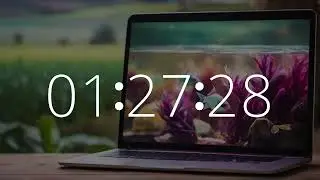 1 Hour 35 Minute Timer (95 Minute Timer) Chill Music Work, Study, Relaxation #dailylofi #studybeats