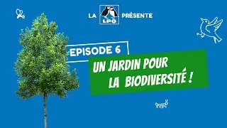 Colocataires sauvages Épisode 6 - Saison 1 : Un jardin pour la biodiversité !