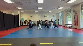 Summer Camp at Everson's Karate Institute Kata Training