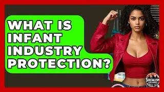 What Is Infant Industry Protection? - Socialism Explained