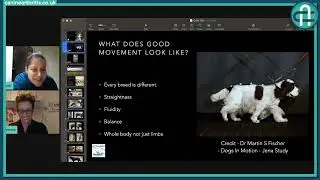 CAM LIVE: Posture, gait analysis and free work with Gemma Hodson
