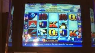 Penguin Pays - Bonus - $2 Bet