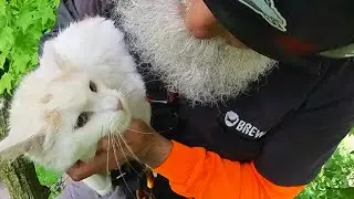 Cat in a tree rescue - Fabio