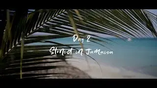 Jamaica Elopement Day 2 - Stoned In Jamaica