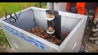 Piantapatate a una fila 