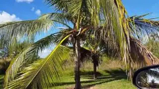 Quiet Waters Park em Deerfield Beach