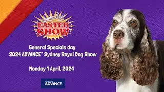 ADVANCE™ Sydney Royal Dog Show Best in Show