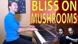 Etienne Venier - Infected Mushroom - Bliss on Mushrooms