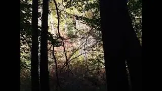 Fall Color Photos from Juney Whank, Toms Branch, and Indian Creek Waterfalls 10 24 19