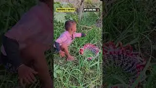 My Doll My Son My Love Family 💕 #shorts #shortvideo #shortsfeed #trendingshorts #viral #viralvideo