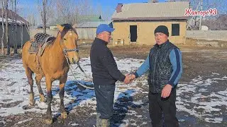 Жанторо93.  1 февраля 2026 г.