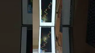 how you can make money with Digital Lion's Forex trading Group Ltd ? see this video now