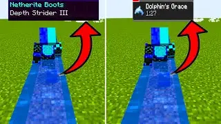 Dolphin's Grace VS Depth Strider 3 | Which Is Faster