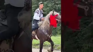 #hor #horse #lovers #animals #information #facts
