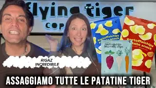 ASSAGGIAMO tutte le PATATINE di TIGER 
