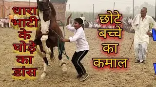 छोटे बच्चे का कमाल। Horse Dance 2021| Watch Again & Again