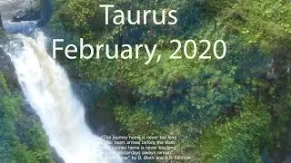 Taurus FORTUNE FAVORS THE BOLD! 2020 IS THE YEAR OF YOU February 2020