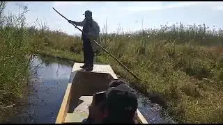 Water ways to see Floating National Park Manipur